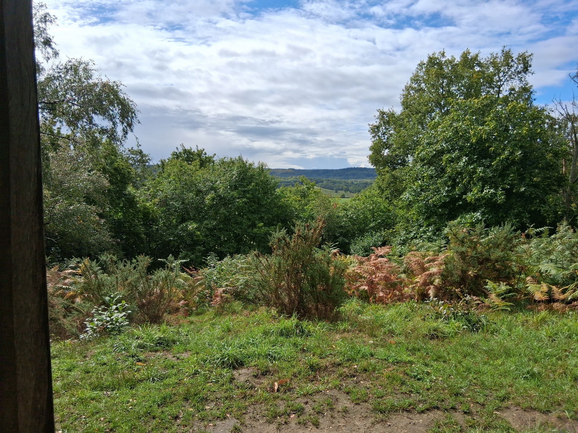 View from the Temple